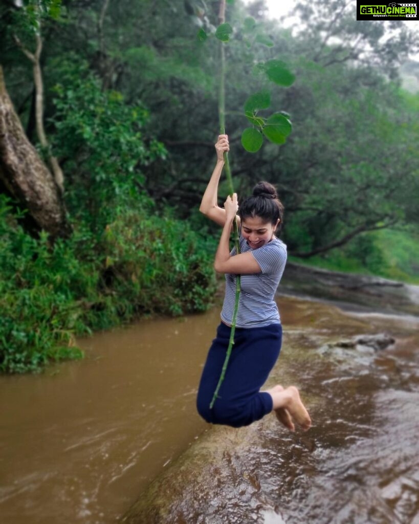 Actress Sai Pallavi Instagram Photos And Posts February Gethu Cinema