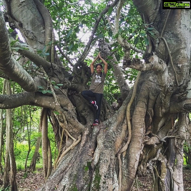 Srinda Instagram Vrikshasana Treepose Gethu Cinema