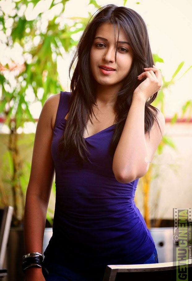 Catherine Tresa Funking Videos - Actress Catherine Tresa latest HD Photoshoot (4) - Gethu Cinema