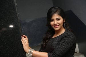 Actress Anjali At Chitrangada Movie Success Meet Gallery - Gethu Cinema