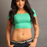 Catherine Tresa Hot Hd Photo Shot (11)