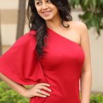 Tamil Actress 2017 Latest Glamour Photos  (10)