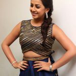 Tamil Actress 2017 Latest Glamour Photos  (9)