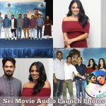 Sei Movie Audio Launch