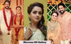 Bhavana