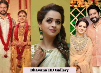 Actress Bhavana Wiki, Biography, Age, Gallery, Wallpaper & More