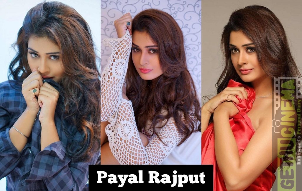 RX 100 Actress Payal Rajput 2018 Latest Cute HD Images - Gethu Cinema