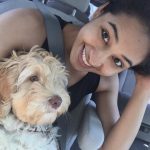 Pooja Ramachandran, Bigg Boss Telugu 2, dog, selfie