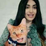 Adah Sharma Instagram - Duniya mein peheli baar, The first VERIFIED pillow on Instagram - RADHA SHARMA ! @adah_ki_radha #nepotismrocks . . Thank u guys for all the love on TINDEY ...my director Seema and me and all of us involved in the film are 🤸🤸🤸🤸♥️♥️♥️ that you love our quirky film ! A lot of you commented that Radha got the film only because of Nepotism, because she is related to Adah Sharma when that actually isn't true. She got this film based purely on her talent , her expressions and her hard work. This video to prove that just with a little support from me star kid Radha Sharma can even sing! . . If you haven't watched TINDEY yet...link in bio Watch Radha's scintillating performance in it #100yearsofAdahSharma