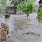 Adah Sharma Instagram - Tag a few monkeys and don't say anything 😁 . . . . . They told me these monkeys are wild so must not interract with them. They also said that they will scratch my eyes out so must not feed them. But then if everyone listens , these guys will be so hungry !! Also they were nicer to me than some people in the film industry when I had started my career 😬🤣 Must speak English to Rishikesh animals and Hindi to the Paris ones 🙃