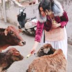Adah Sharma Instagram - TAG a girl who likes very good looking guys and say nothing 🤣 or your गाय friends 😉 . In reel life Mekeh goes on Holiday with 3 handsome boys ...in real life not much difference 😁😁😁 Adah hasn't kissed any of these three गाय's yet but 🙈 woh bhi end of this Holiday tak ho jaega I think 🤣 Girls never let a guy bully you ! गाय's can bully you that's allowed. That big one totally bullied me and ate 4 kelas 🙈 . Special thaaaankk u to all those people who respected our privacy and didn't take sneaky videos ❤️
