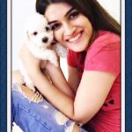 Kriti Sanon Instagram – I felt #MyRaabta with my munchkin Disco the moment I held him for the first time! Who or what is your Raabta with? Post by using #MyRaabta and get a chance to meet #ShivAndSaira @sushantsinghrajput