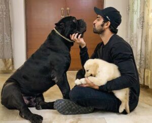 Naga Shaurya Instagram - You will always be my first , My Boo Boy🖤 @shauryasboo 
#happytointroducehappy🖤
#wearmask
#stayhome #staysafe