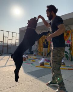 Naga Shaurya Instagram - This kites season even Boo thinks he can fly!!! @shauryasboo #dogsofinstagram #petsofinstagram #canecorse #kite #festival #sankranti