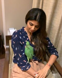 Shilpa Shetty Instagram - We found #poppy (name in transit 😅) in our home( dunno if it’s a male/female) was rescued by my staff on Friday night ,she must’ve fallen from her nest that’s on the almond tree in my garden ..she fluttered her wings but couldn’t fly fully..Feels like a soul I know who’s trying to communicate 😇She’s soo adorable ..Going to set her free as soon as she’s ready.. but had to share this video of how friendly this parrot is🦜😍♥️🧿 #birds #poppylove #sign #goodtidings #love #gratitude #parrotsofinstagram