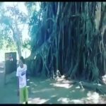 Yuthan Balaji Instagram - Omg 😱 😳 don't try this without instructors 😲