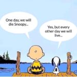 Yuthan Balaji Instagram - But every other day we live. So stop worrying and start living 😇 #staypositivewithyuthan • #positivity #positivevibes #positivequotes #quotes #quoteoftheday #motivationalquotes #bepositive #motivated #motivation #positive #motivator #scorpio #spirituality #awakening Yuthan Balaji