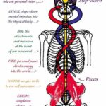 Yuthan Balaji Instagram - Theomorphic step-down of energy // The chakras parallel the planes of creation. The body personifies the process of creation. The Psoas is the only ‘muscle’ to connect the spine to the legs. It is responsible for holding us upright, and allows us to lift our legs in order to walk. A healthily functioning psoas stabilizes the spine and provides support through the trunk, forming a shelf for the vital organs of the abdominal core. The psoas is connected to the diaphragm through connective tissue or fascia which affects both our breath and fear reflex. This is because the psoas is directly linked to the reptilian brain, the most ancient interior part of the brain stem and spinal cord. As Koch writes “Long before the spoken word or the organizing capacity of the cortex developed, the reptilian brain, known for its survival instincts, maintained our essential core functioning.” #staypositivewithyuthan • #positivity #positivevibes #positivequotes #quotes #quoteoftheday #motivationalquotes #bepositive #motivated #motivation #positive #motivator #scorpio #spirituality #awakening
