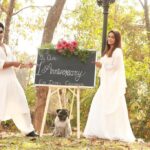 Dipika Kakar Instagram - Yesssss its been a year of the most precious day of my life... of being Mrs Dipika Kakar Ibrahim.... and my world has bloomed with love ever since❤❤❤ !!! Be Ready Guys The Celebration beginssssss!!!!!