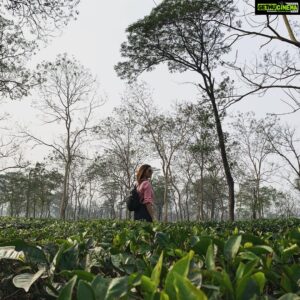 Parvathy Omanakuttan Instagram - In the “Tea Capital” of India 🍃