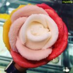 Parvathy Omanakuttan Instagram – Life is Better with Mi Amor ❤️ and Amorino 🍦🤪❤️🥰 #foodieforlife #sorbet #amorinogelato #mango #lemon #strawberry #raspberry #litchi
