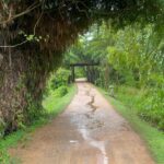 Ruhi Singh Instagram - Paradises and pretty things ❤️ #2022 #srilanka Uga Ulagalla