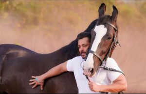 Salman Khan Instagram - Horse’s mouth ..