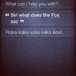 Vaani Kapoor Instagram - LMAO #hilarious #funniest #amusing Siri