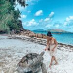 Aparnaa Bajpai Instagram – Chilling with the tortoise🐢
Just me and him❤️
.
.
.
#seychelles #praslinisland #curieuse #turtles #tortoise #travel #traveller #travelbucketlist Curieuse Island