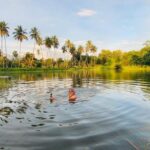 Ashish Vidyarthi Instagram – Unfiltered pond moments…Awesomeshwar😍 
#awesomeness #awesomeshwar #kerala #keralagram #keralatourism #life #zindagi #love #instamorning #instadaily
