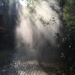 Bhama Instagram – Listen to the rhythm of the falling Rain 😀🤗 #my click ✍🏻 Rainforest ayur County