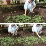Bhumika Chawla Instagram – Home grown micro greens – mustard 🌻