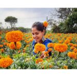 Bindu Madhavi Instagram - Bloom with Grace 🌼🌸 #life #whereever