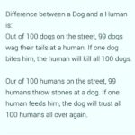 Chandra Lakshman Instagram - #savedogs #stopcruelty #saveanimals #behuman #theylivewithus #saveenvironment #instaanimal #likes #forthispost #spreadaword
