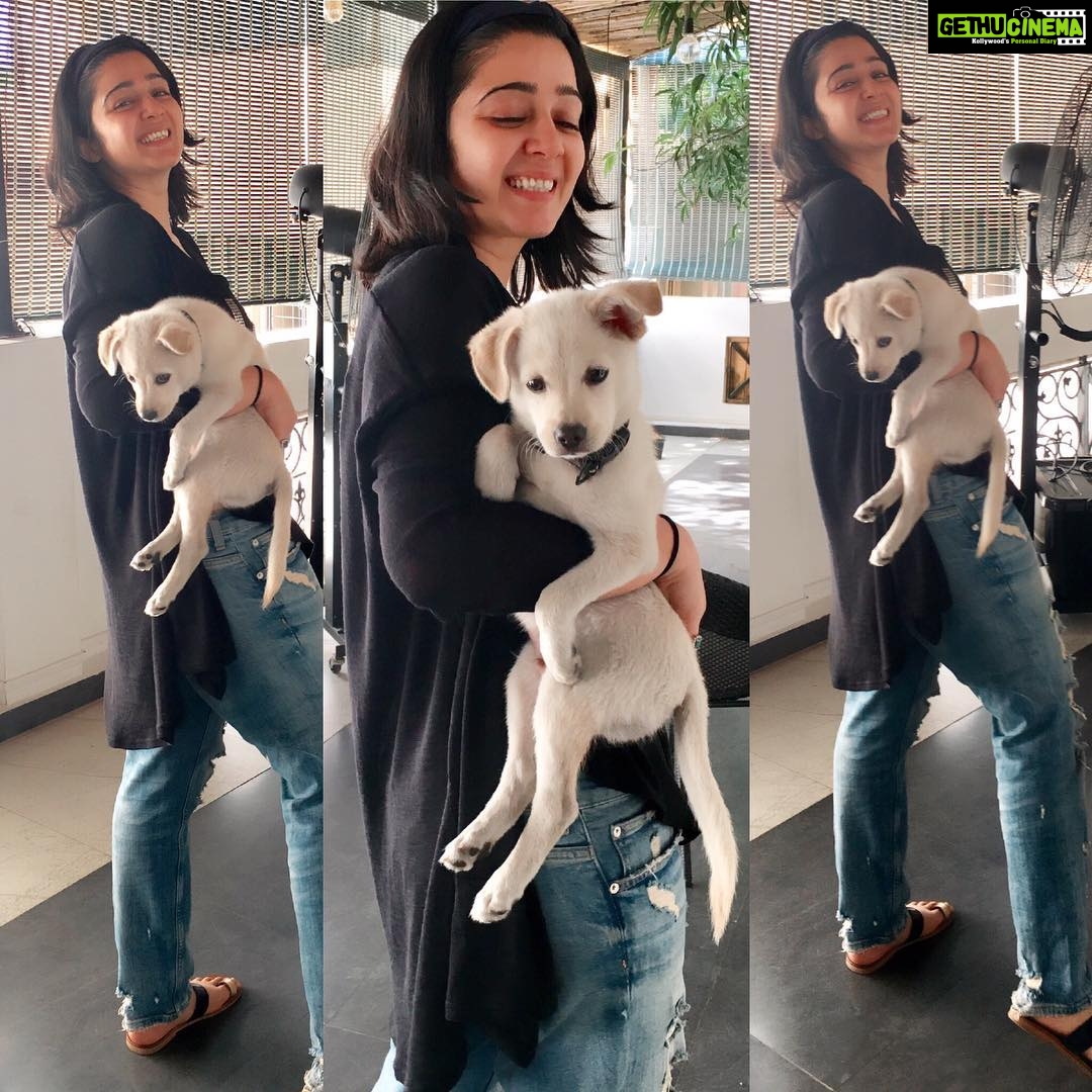 Charmy Kaur Instagram - My little pocket kangaroo 😘👻 #darling growing ...