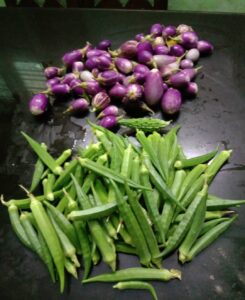 Fathima Babu Instagram - From my terrace garden
