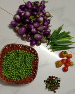 Fathima Babu Instagram - From my terrace garden