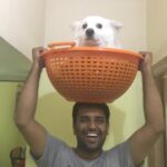 Ishika Singh Instagram - King of the universe ... long hail kind Damroo #doglovers #dogloversofinstagram #pawsome #paws🐾 #petlover #damroo