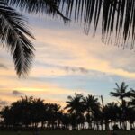 Madhoo Instagram -