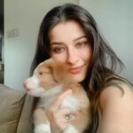 Madhuurima Instagram – Such a soft toy. Furball cutie😍😍😍🤗 #puppies #puppylove #puppy #cutiepie #animals #animallovers #baby #explore #pictureoftheday