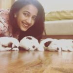 Niharika Konidela Instagram - My sweet little cookies 😍