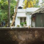 Nikhila Vimal Instagram - Sleeping cats