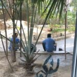 Payal Rohatgi Instagram - What is Meethi Supari 🐒 Legal bad habit of #FitIndia 🤣Amazing Housekeeping 🤪 of #sundervanepitome society 🙏 - #payalrohatgi #socialawareness #byelaws