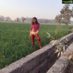 Payal Rohatgi Instagram - As ALL views are taken into consideration based on the success/failure graph 🤨 of the humanbeing we are putting across our logic. #karma is #karma. It won’t spare a #hindu or a #muslim. Respect the #faith of ALL religions 🙏 #cowslaughter is NOT banned in #kerala. Dear Kerala people and politicians of Kerala, not good to hurt the sentiments of #Hindus. If u openly do that, sorry to sound but God also openly does it.. God is one ☝️ Then why #convert in the name of Hindu and Muslim and Christian 🤔 Can science give birth to a life and prevent the death of Man 🤨 ? NO. So is God there ? If YES, is it ONE ? Then why #convert ? So stop hurting the religious faith of the religion that u don’t follow is our request 🙏 #payalrohatgi #paayalrohatgi #jaishreeram