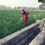 Payal Rohatgi Instagram - As ALL views are taken into consideration based on the success/failure graph 🤨 of the humanbeing we are putting across our logic. #karma is #karma. It won’t spare a #hindu or a #muslim. Respect the #faith of ALL religions 🙏 #cowslaughter is NOT banned in #kerala. Dear Kerala people and politicians of Kerala, not good to hurt the sentiments of #Hindus. If u openly do that, sorry to sound but God also openly does it.. God is one ☝️ Then why #convert in the name of Hindu and Muslim and Christian 🤔 Can science give birth to a life and prevent the death of Man 🤨 ? NO. So is God there ? If YES, is it ONE ? Then why #convert ? So stop hurting the religious faith of the religion that u don’t follow is our request 🙏 #payalrohatgi #paayalrohatgi #jaishreeram