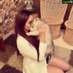 Ragini Dwivedi Instagram - INTRODUCING 👑 ZEUS 👑 My son welcome to the family you have bought only smiles and happiness to us and there could be nothing more special than ur big blue eyes and ur naughtiness that lights the house right now. #raginidwivedi #zeus #zeusthehusky #loveislove #lovelightandblessings #staypositive #husky #huskiesofinstagram #blueeyeshusky #petsofinstagram Home Sweet Home