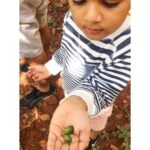 Sameera Reddy Instagram - #didyouknow These little green coffee beans were bought from Yemen to Chikmagalur, Karnataka in 1670 by an Indian Sufi saint named "Baba Budan". Way before the East India company! That’s how you got your cuppa this morning ☕️ #internationalcoffeeday #funfact #coffee #india #chikmagulur #karnataka #history #bababudan #coffeeholic #coffeebean #coffeecoffeecoffee Coffee City Chickmagalur