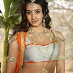 Sanjjanaa Instagram - @swarnakhadgamofficial coming soon