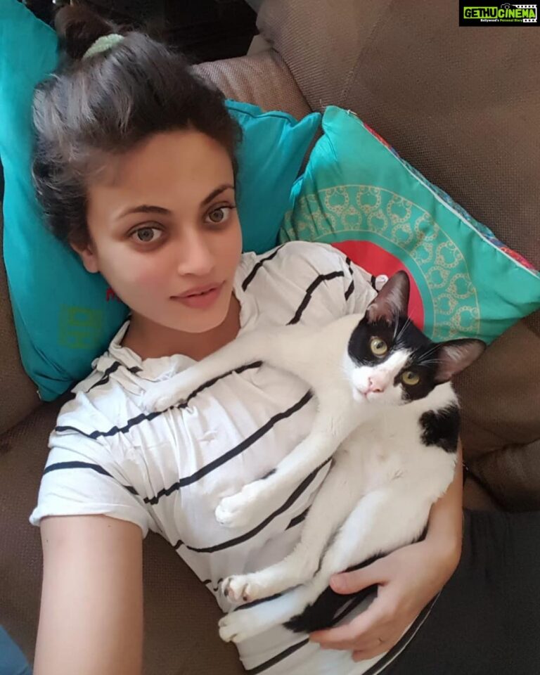 Sneha Ullal Instagram - Hi