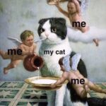 Sneha Ullal Instagram - Yep thats me,me and me..Always a slave to my cats